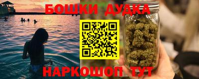 гидра Комсомольск-на-Амуре