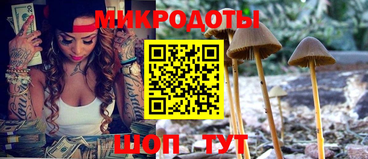 Псилоцибиновые грибы Cubensis  Вход с VPN  Кемерово  Псилоцибиновые грибы мухоморы 